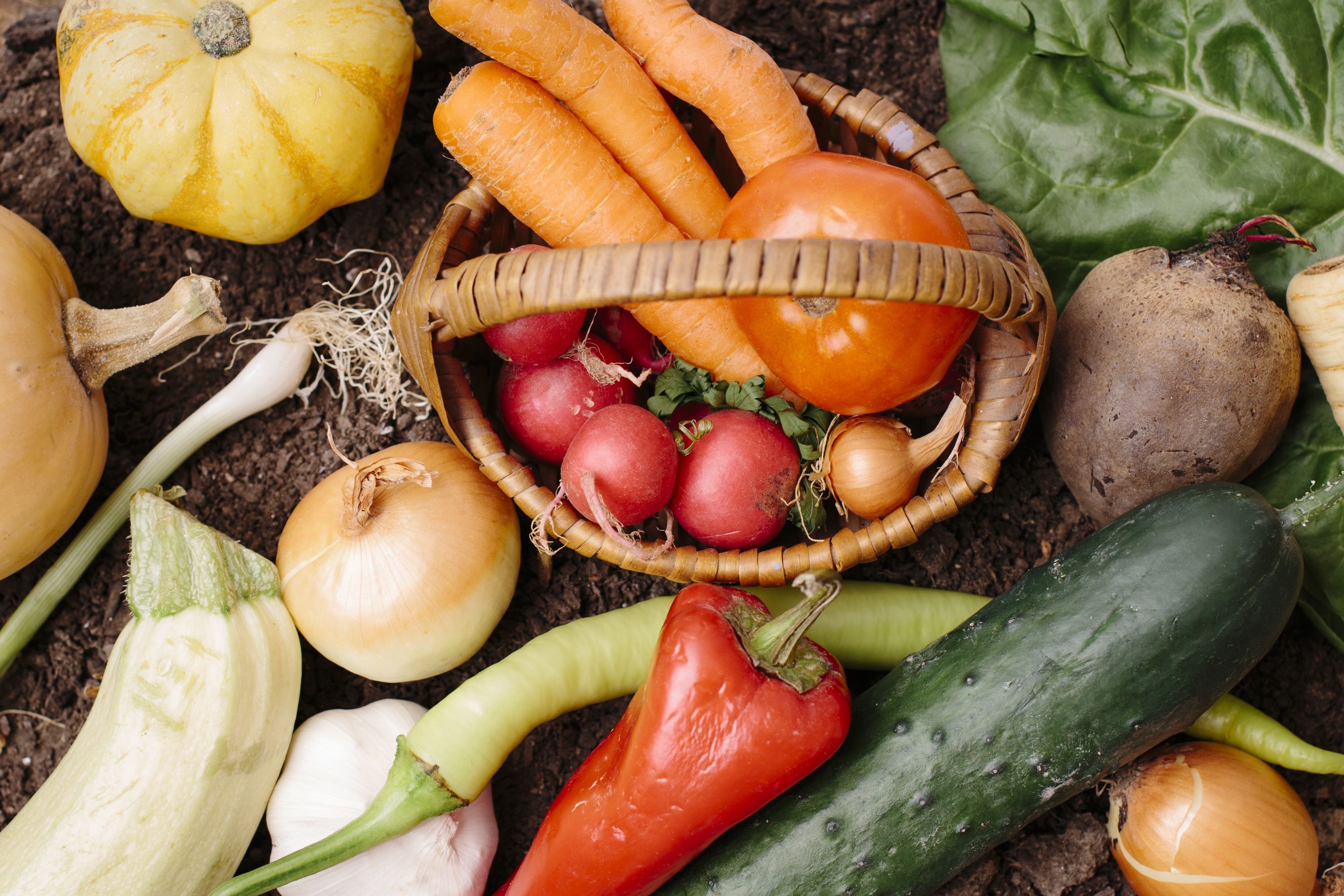 珍資格 この資格持ってたらかなり自慢出来そう 京野菜検定 とは